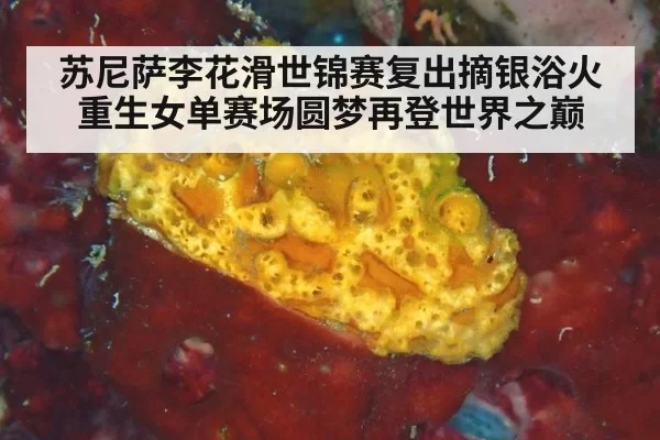 苏尼萨李花滑世锦赛复出摘银浴火重生女单赛场圆梦再登世界之巅